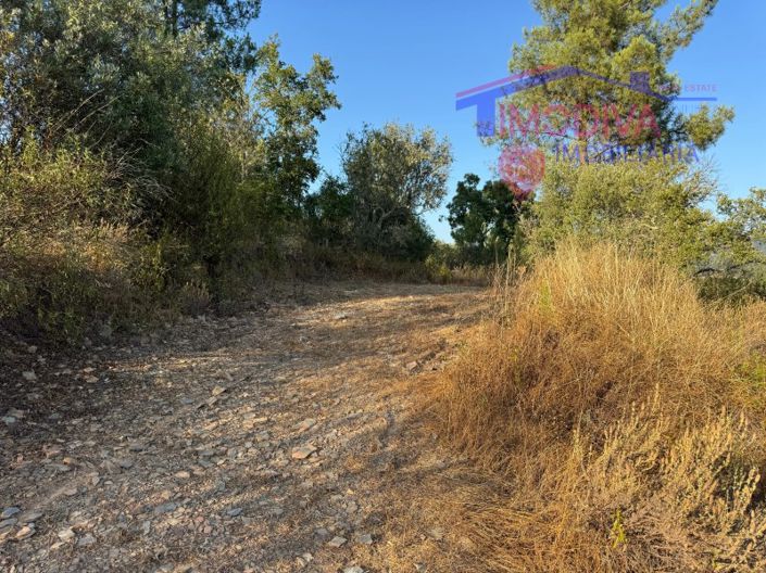 Image No.36-Maison de 4 chambres à vendre à Sertã