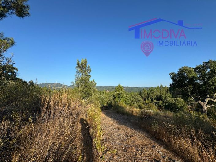 Image No.37-Maison de 4 chambres à vendre à Sertã