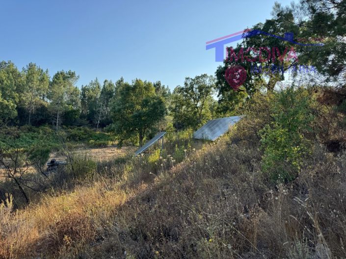 Image No.38-Maison de 4 chambres à vendre à Sertã