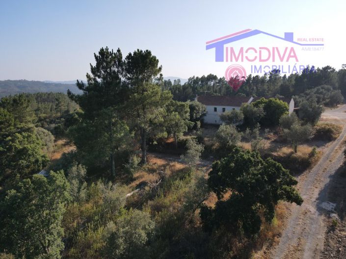 Image No.5-Maison de 4 chambres à vendre à Sertã