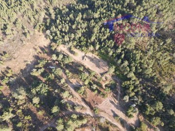 id0412a701-0000-0500-0000-00001695619a