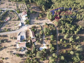 id0412a701-0000-0500-0000-00001695619b