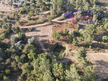 id0412a701-0000-0500-0000-00001695619c