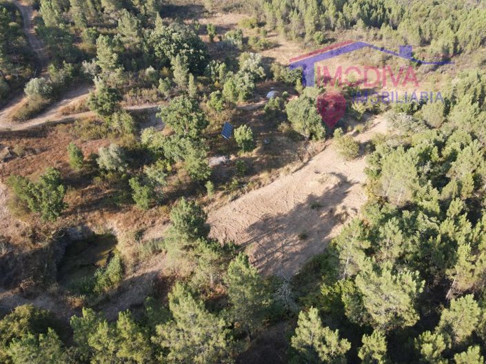 Image No.9-Maison de 4 chambres à vendre à Sertã