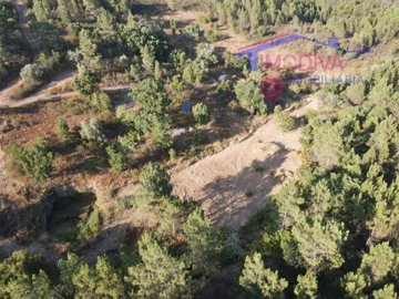 id0412a701-0000-0500-0000-0000169561a8