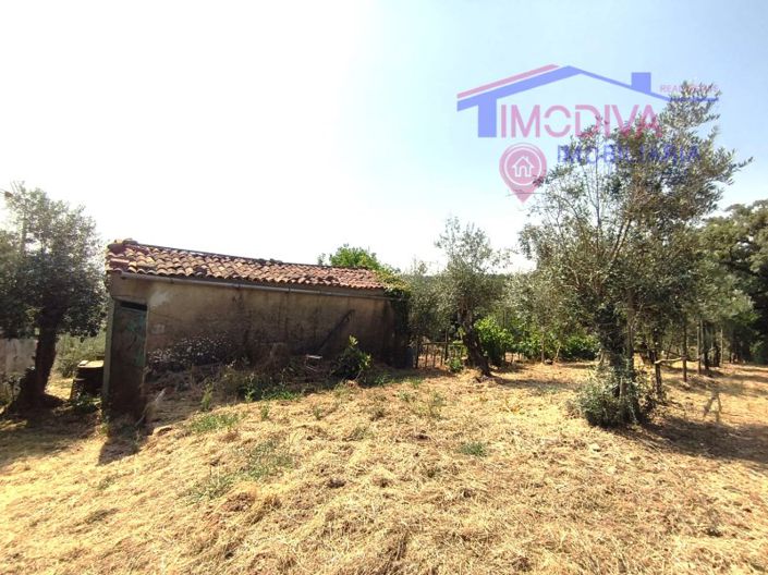 Image No.44-Maison de 1 chambre à vendre à Pedrógão Grande