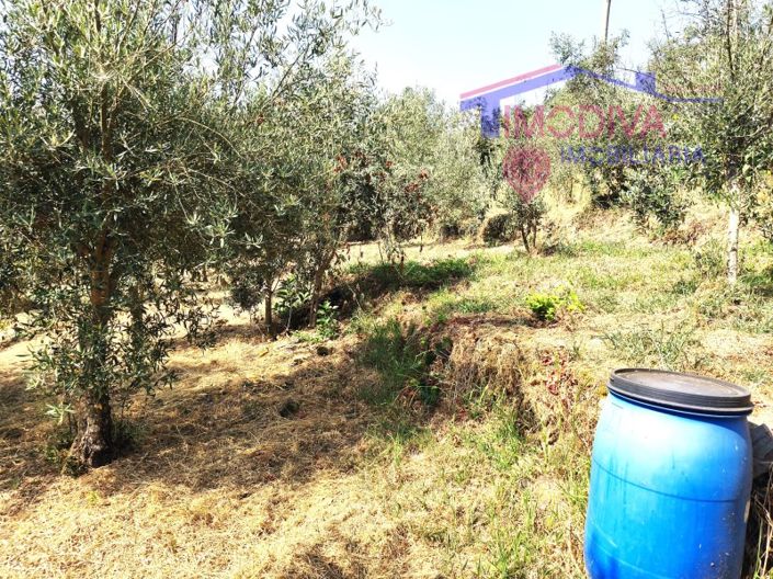 Image No.45-Maison de 1 chambre à vendre à Pedrógão Grande