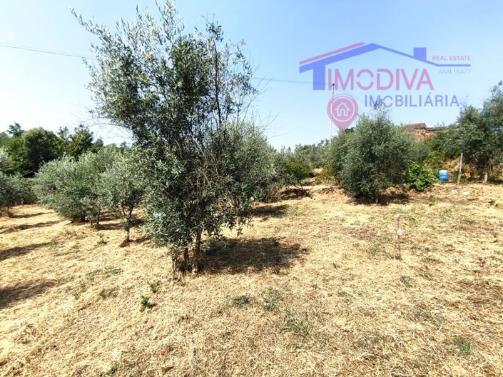 Image No.47-Maison de 1 chambre à vendre à Pedrógão Grande