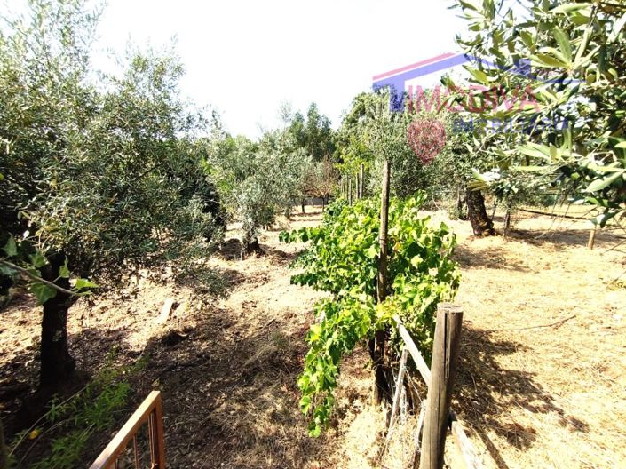 Image No.48-Maison de 1 chambre à vendre à Pedrógão Grande