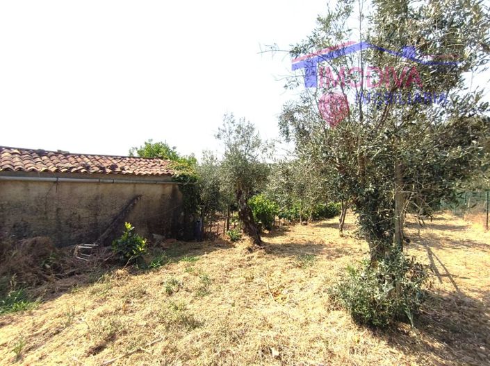 Image No.49-Maison de 1 chambre à vendre à Pedrógão Grande