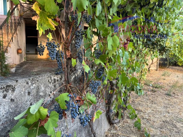 Image No.26-Maison de 2 chambres à vendre à Pedrógão Grande