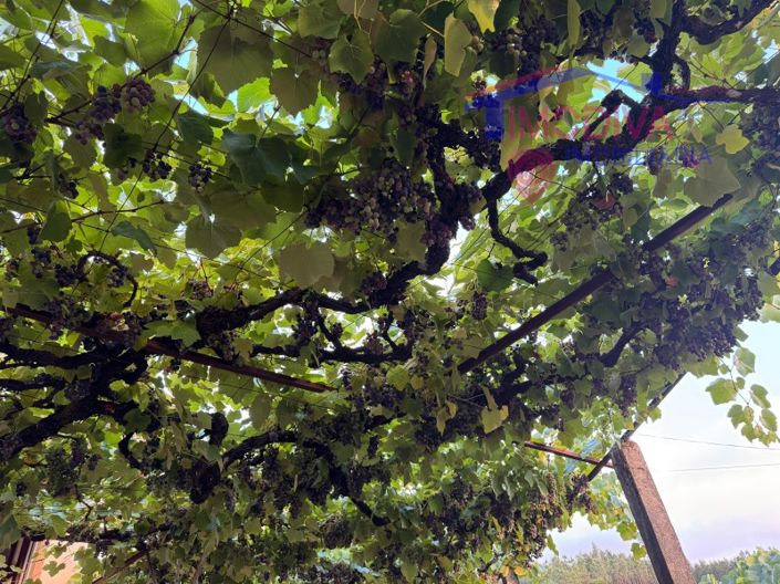 Image No.27-Maison de 2 chambres à vendre à Pedrógão Grande