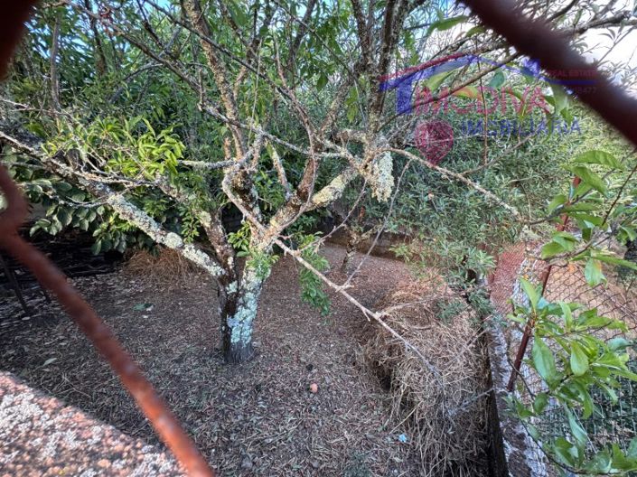 Image No.46-Maison de 2 chambres à vendre à Pedrógão Grande