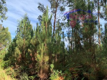 id30d6a901-0000-0500-0000-000016d9a23f