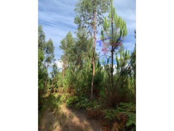 id30d6a901-0000-0500-0000-000016d9a23c