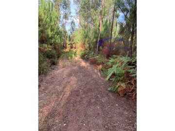 id30d6a901-0000-0500-0000-000016d9a240