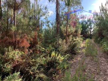 id30d6a901-0000-0500-0000-000016d9a241