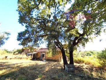 id31b2b201-0000-0500-0000-00001763f6f5