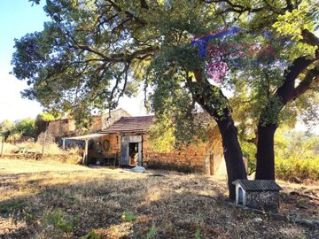 id31b2b201-0000-0500-0000-00001763f6d5