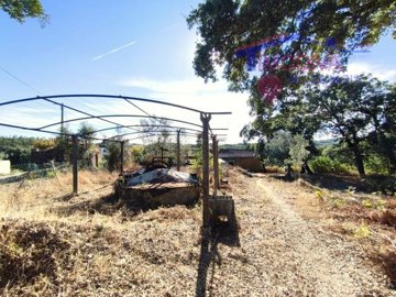 id31b2b201-0000-0500-0000-00001763f6e4