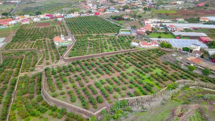 Image No.8-3 Bed Finca for sale