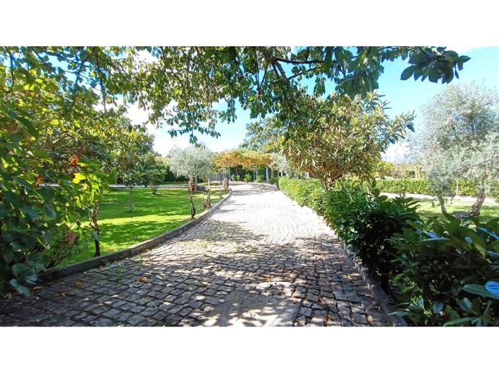 Image No.3-Maison de 5 chambres à vendre à Fundão