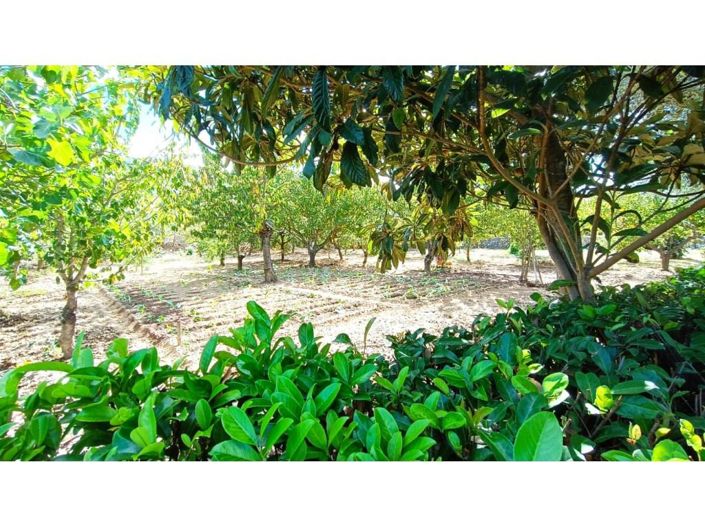 Image No.7-Maison de 5 chambres à vendre à Fundão