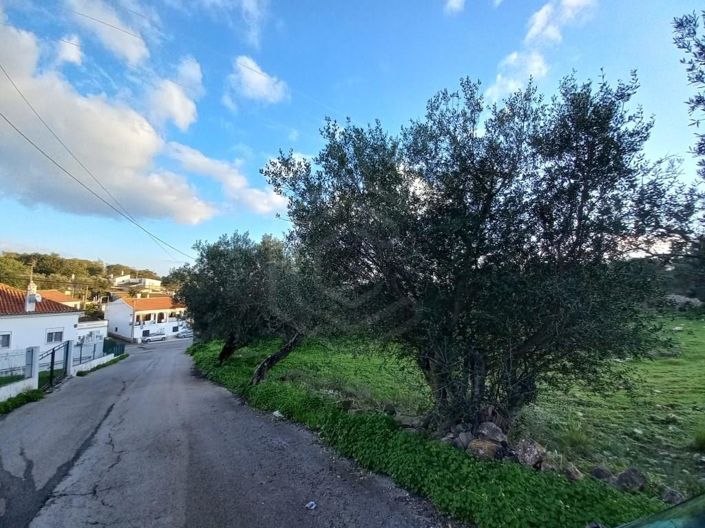 Image No.10-Maison de 5 chambres à vendre à Sao Bras de Alportel