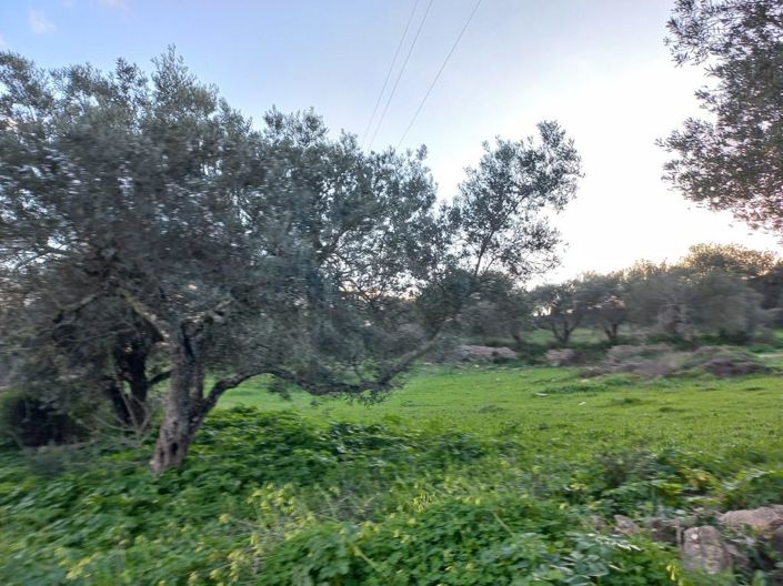 Image No.12-Maison de 5 chambres à vendre à Sao Bras de Alportel