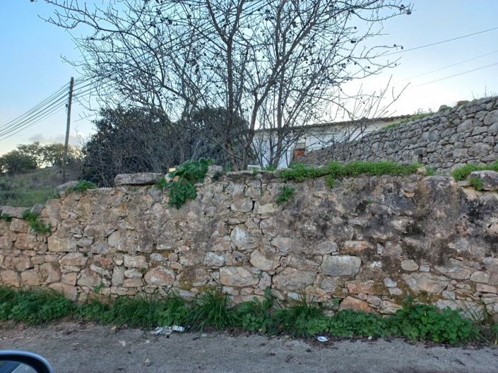 Image No.18-Maison de 5 chambres à vendre à Sao Bras de Alportel