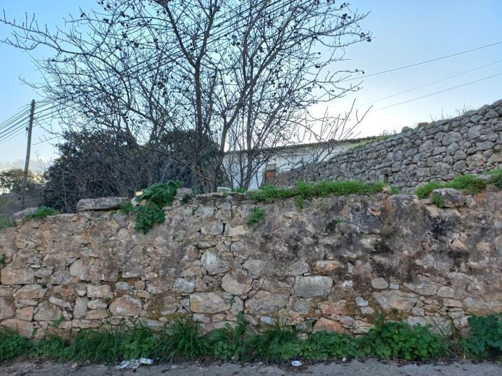 Image No.20-Maison de 5 chambres à vendre à Sao Bras de Alportel