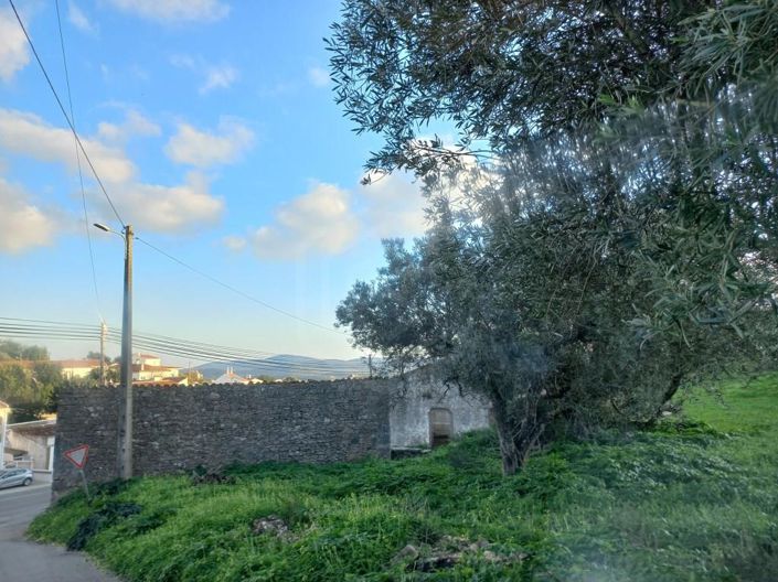 Image No.5-Maison de 5 chambres à vendre à Sao Bras de Alportel