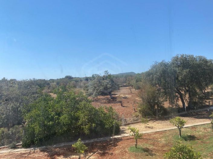 Image No.37-Maison de 12 chambres à vendre à Loule