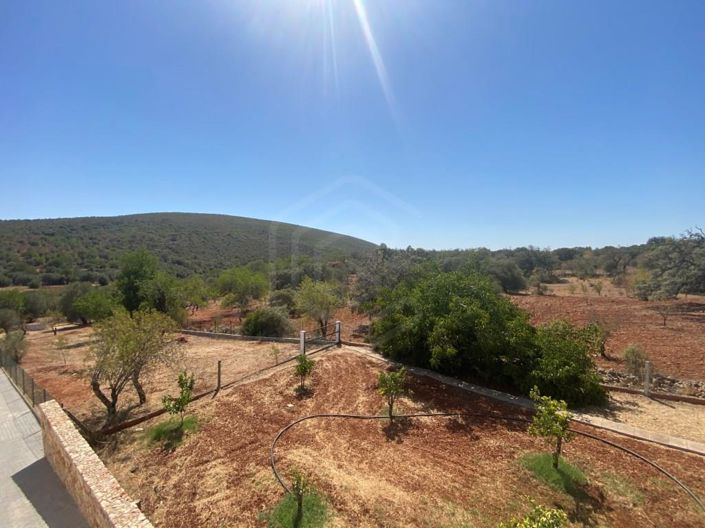 Image No.38-Maison de 12 chambres à vendre à Loule