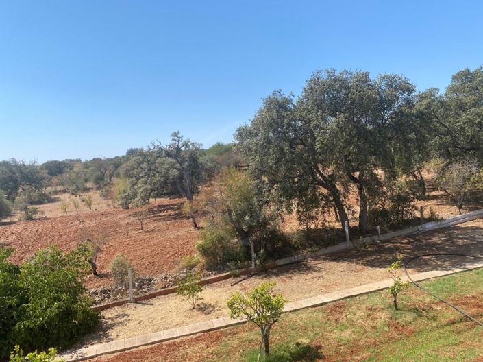 Image No.39-Maison de 12 chambres à vendre à Loule