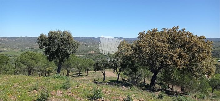 Image No.6-House for sale