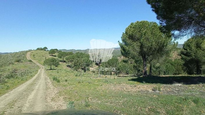 Image No.9-House for sale