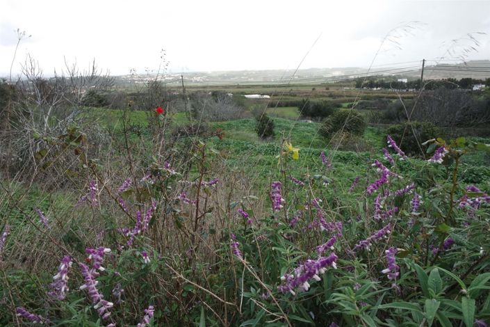 Image No.16-Maison de 5 chambres à vendre à Lagos