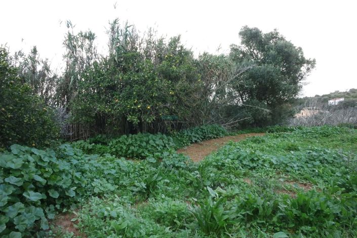 Image No.17-Maison de 5 chambres à vendre à Lagos