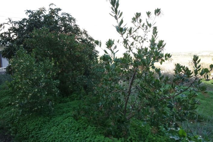 Image No.19-Maison de 5 chambres à vendre à Lagos