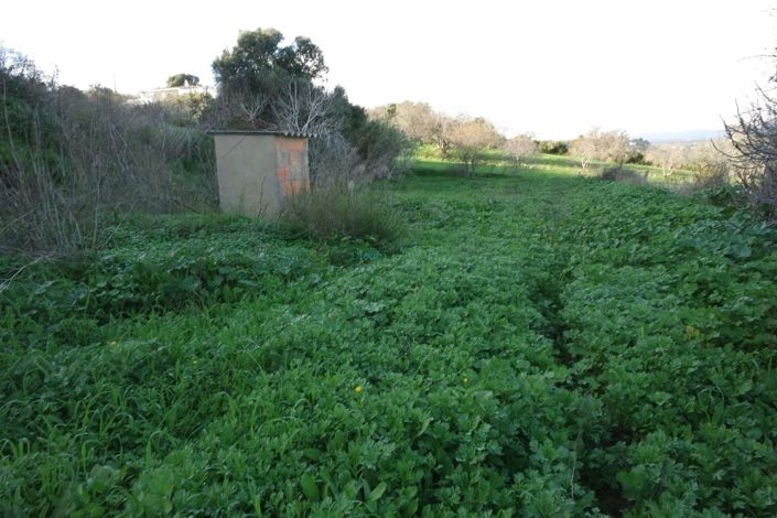 Image No.20-Maison de 5 chambres à vendre à Lagos