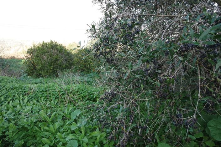 Image No.21-Maison de 5 chambres à vendre à Lagos