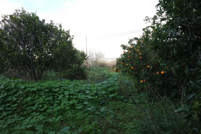 Image No.23-Maison de 5 chambres à vendre à Lagos