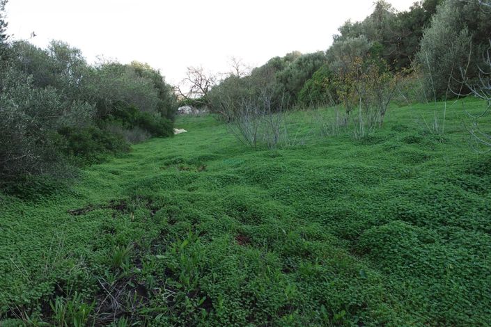 Image No.33-Maison de 5 chambres à vendre à Lagos