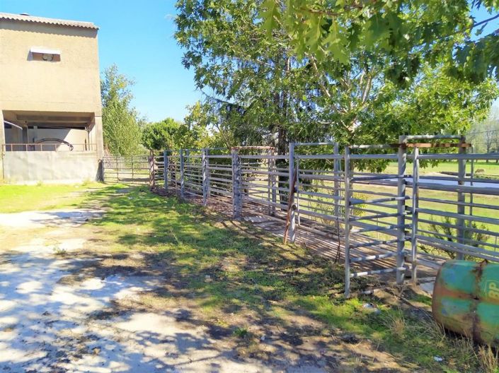 Image No.24-Maison de 7 chambres à vendre à Covilhã