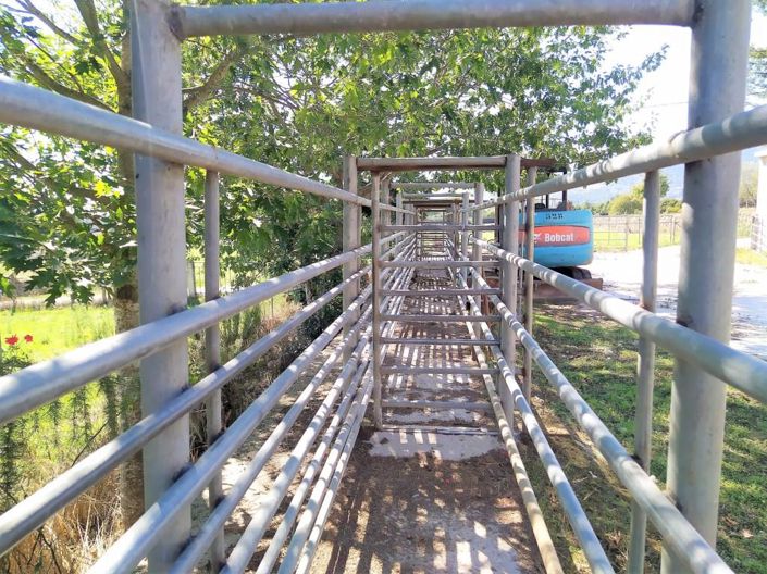 Image No.31-Maison de 7 chambres à vendre à Covilhã