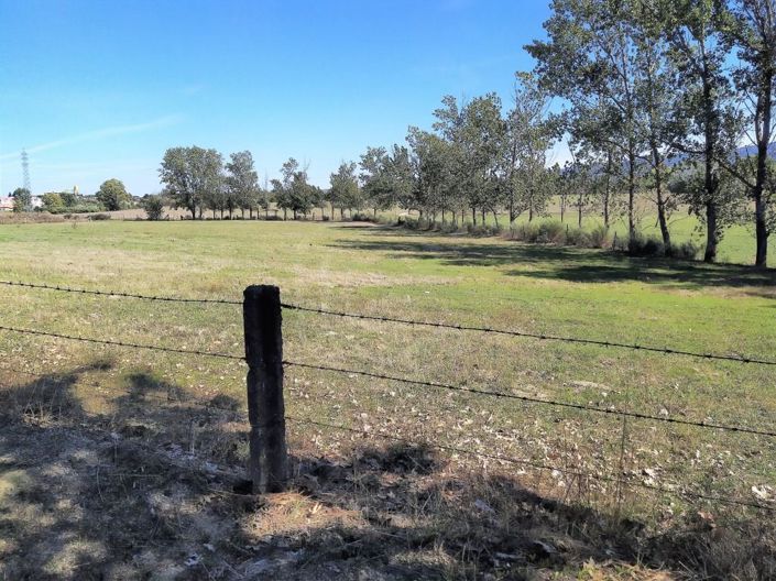 Image No.36-Maison de 7 chambres à vendre à Covilhã