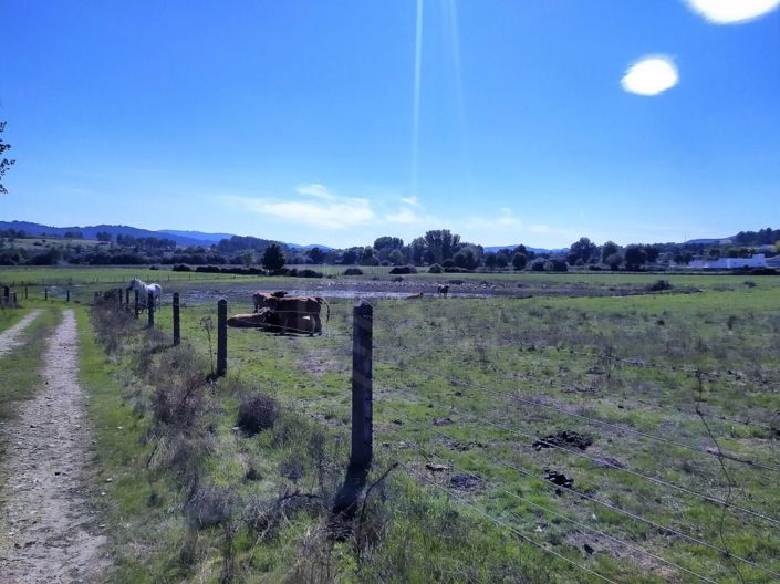 Image No.37-Maison de 7 chambres à vendre à Covilhã