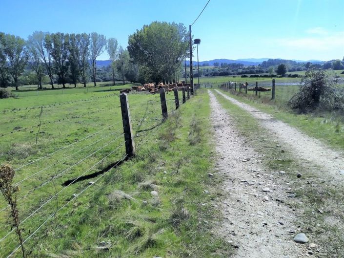 Image No.38-Maison de 7 chambres à vendre à Covilhã