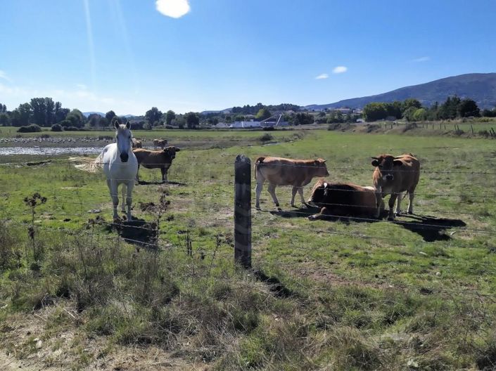 Image No.40-Maison de 7 chambres à vendre à Covilhã